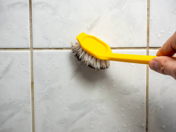 Best Professional Mold Removal  in Wallingford Center, CT
