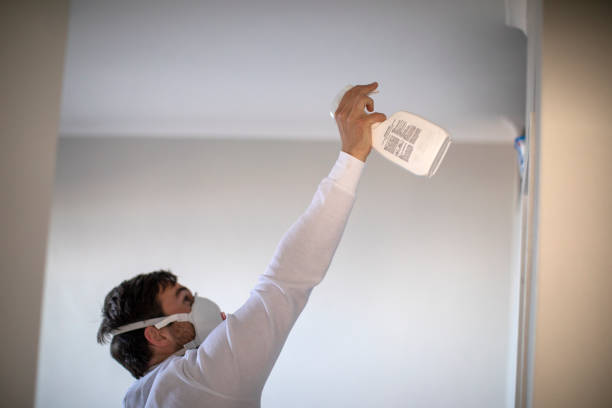 Best Same-Day Mold Removal  in Wallingford Center, CT