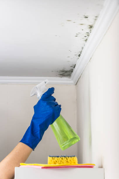 Crawl Space Mold Removal in Wallingford Center, CT